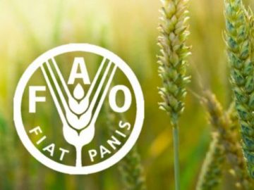 Cơ hội thực tập tại FAO (tổ chức Lương thực và Nông nghiệp) tại Hungary